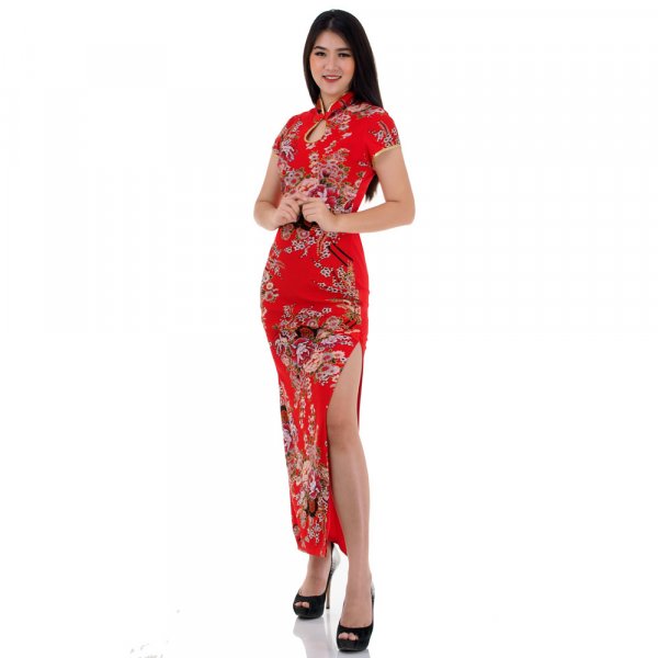 Langes China Qipao Asia Kleid