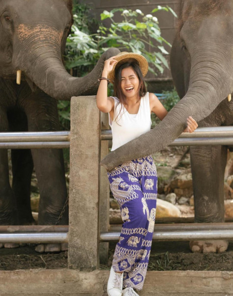 Elefantenhosen-aus-Thailand-Haremshose-Aladinhose
